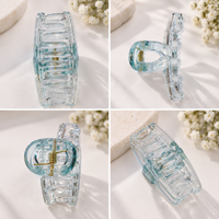 Clear Tint Hair Claw Clip