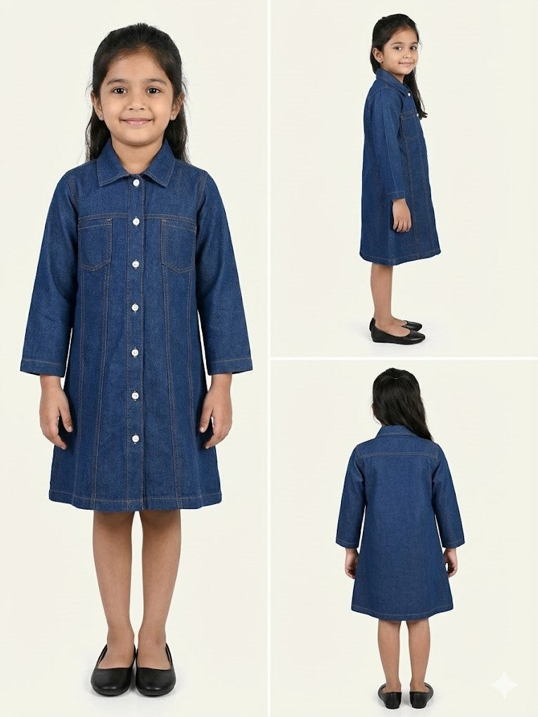 Denim Shirt Dress, Button-Down