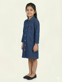 Denim Shirt Dress, Button-Down