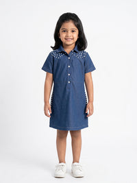 Pearl Stud Denim Shirt Dress