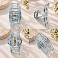 Clear Tint Hair Claw Clip