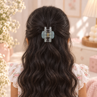Clear Rectangle Tint Claw Clip