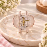 Clear Rectangle Tint Claw Clip