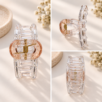 Clear Tint Hair Claw Clip