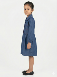 Classic Blue Denim Shirt Dress
