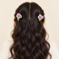 Pastel Comb and Claw Clip Set Purple Pony