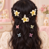 Floral Snap and Mini Claw Set