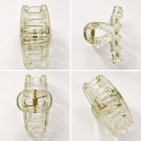 Clear Tint Hair Claw Clip