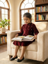 Maroon Velvet Pearl Detail Dress