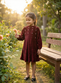 Maroon Velvet Pearl Detail Dress